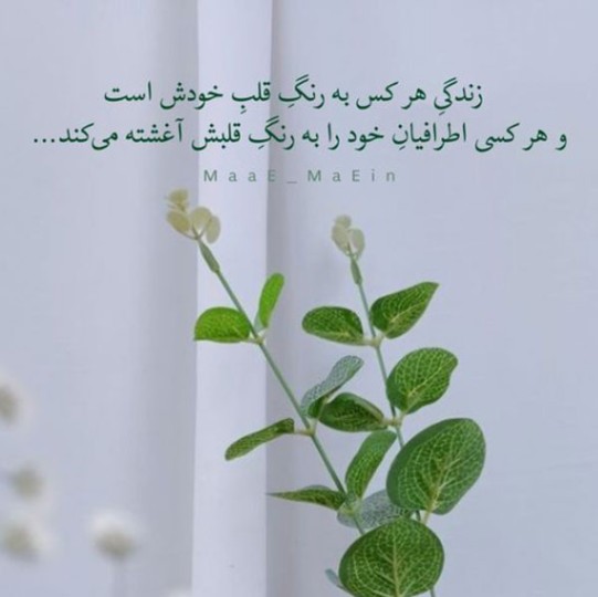 دانلود آهنگ حقم نبود دردای مه سرت سلامت محسن لرستانی از فارس ترانه